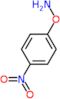 O-(4-Nitrophenyl)hydroxylamine