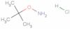 Hydroxylamine, O-(1,1-dimethylethyl)-, hydrochloride (1:1)