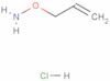 O-allylhydroxylamine hydrochloride