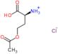 (1S)-3-(acetyloxy)-1-carboxypropan-1-aminium chloride