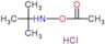 (tert-butylamino) acetate hydrochloride