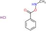 [(methylamino)oxy](phenyl)methanone hydrochloride (1:1)