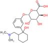 (3S,4S,5S,6S)-6-[3-[2-(dimethylaminomethyl)-1-hydroxy-cyclohexyl]phenoxy]-3,4,5-trihydroxy-tetrahydropyran-2-carboxylic acid