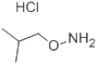 Isobutylhydroxylaminehydrochloride