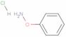 Hydroxylamine, O-phenyl-, hydrochloride (1:1)