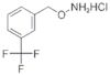 1-[(Ammoniooxy)Methyl]-3-(Trifluoromethyl)Benzene Chloride