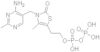 Thiamine thiazolone pyrophosphate