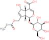 (1S,4aS,5S,7aS)-1-(beta-D-glucopyranosyloxy)-5-hydroxy-7-({[(methylsulfanyl)carbonyl]oxy}methyl)-1,4a,5,7a-tetrahydrocyclopenta[c]pyran-4-carboxylic acid