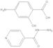 isonicotinic acid hydrazide P-*aminosalicylate
