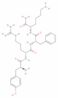 peanut oil hardened from arachis hypogaea