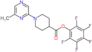 pentafluorophenyl 1-(6-methylpyrazin-2-yl)piperidine-4-carboxylate