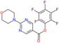 (2,3,4,5,6-pentafluorophenyl) 2-morpholinopyrimidine-5-carboxylate