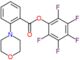 (2,3,4,5,6-pentafluorophenyl) 2-morpholinobenzoate