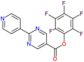 (2,3,4,5,6-pentafluorophenyl) 2-(4-pyridyl)pyrimidine-5-carboxylate