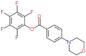 (2,3,4,5,6-pentafluorophenyl) 4-morpholinobenzoate