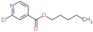 pentyl 2-chloropyridine-4-carboxylate