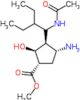 Metile (1S,2S,3R,4R)-3-[(1R)-1-acetamido-2-etilbutil]-4-ammino-2-idrossiciclopentanecarbossilato