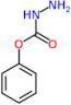 phenyl hydrazinecarboxylate