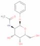 phenyl N-acetyl-A-D-galactosaminide