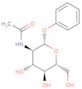 phenyl N-acetyl-B-D-glucosaminide