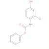 Carbamic acid, (2-chloro-4-hydroxyphenyl)-, phenyl ester