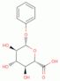 phenyl β-D-glucopyranosiduronic acid