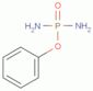 Phenyl diamidophosphate