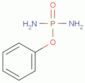 Phenyl phosphorodiamidate