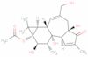 Phorbol 13-acetate