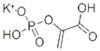 Monopotassium phosphoenolpyruvate