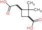 3-(carboxymethyl)-2,2-dimethylcyclobutanecarboxylic acid