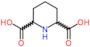 piperidine-2,6-dicarboxylic acid