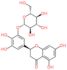 (2S)-2-[3-(β-D-Glucopyranosyloxy)-4,5-dihydroxyphenyl]-2,3-dihydro-5,7-dihydroxy-4H-1-benzopyran-4…