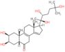 (2beta,3beta,5beta,22R)-2,3,20,22,25-pentahydroxycholesta-8,14-dien-6-one