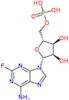 2-fluoroadenosine 5'-(dihydrogen phosphate)