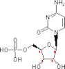 5'-cytidylate monophosphate