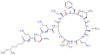 (6R)-N-[(2S)-4-amino-1-{[(2S,3R)-1-{[(2S)-4-amino-1-oxo-1-{[(3S,6R,9S,12S,15S,18S,21S)-6,9,18-tris(2-aminoethyl)-15-benzyl-3-[(1R)-1-hydroxyethyl]-12-(2-methylpropyl)-2,5,8,11,14,17,20-heptaoxo-1,4,7,10,13,16,19-heptaazacyclotricosan-21-yl]amino}butan-2-y