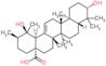 Pomolic acid