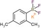 Borate(1-), (2,4-dimethylphenyl)trifluoro-, potassium (1:1), (T-4)-