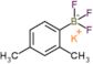 potassium (2,4-dimethylphenyl)-trifluoro-boranuide