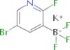 Potassium (5-bromo-2-fluoropyridin-3-yl)trifluoroborate