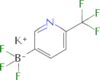 Potassium trifluoro(6-(trifluoromethyl)pyridin-3-yl)borate