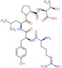 N~5~-(diaminomethylidene)-L-ornithyl-L-tyrosyl-L-leucyl-L-prolyl-L-threonine