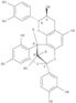 8,14-Methano-2H,14H-1-benzopyrano[7,8-d][1,3]benzodioxocin-3,5,11,13,15-pentol,2,8-bis(3,4-dihydroxyphenyl)-3,4-dihydro-, (2R,3S,8S,14R,15R)-