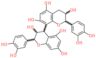 Procyanidin B1