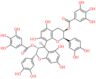 (2R,2'R,3R,3'R,4R)-2,2'-bis(3,4-dihydroxyphenyl)-5,5',7,7'-tetrahydroxy-3,3',4,4'-tetrahydro-2H,2'…