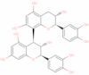 Procyanidine B3