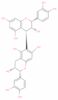 Procyanidin B5