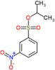 propan-2-yl 3-nitrobenzenesulfonate