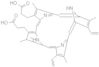 Protoporphyrin IX